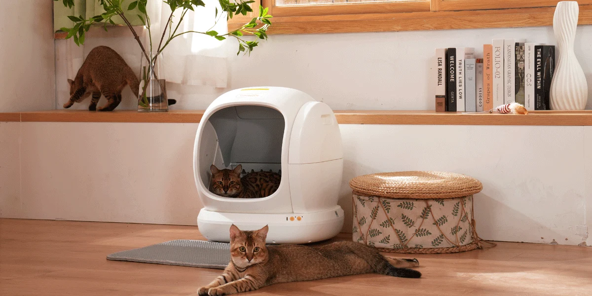 meowant-automatic-litter-box-comparison-936082.webp