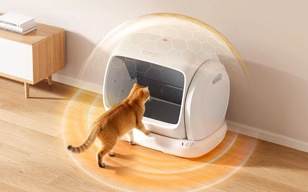 Meowant Makes the Daily Cat-Care Routine Feel Surprisingly Easy