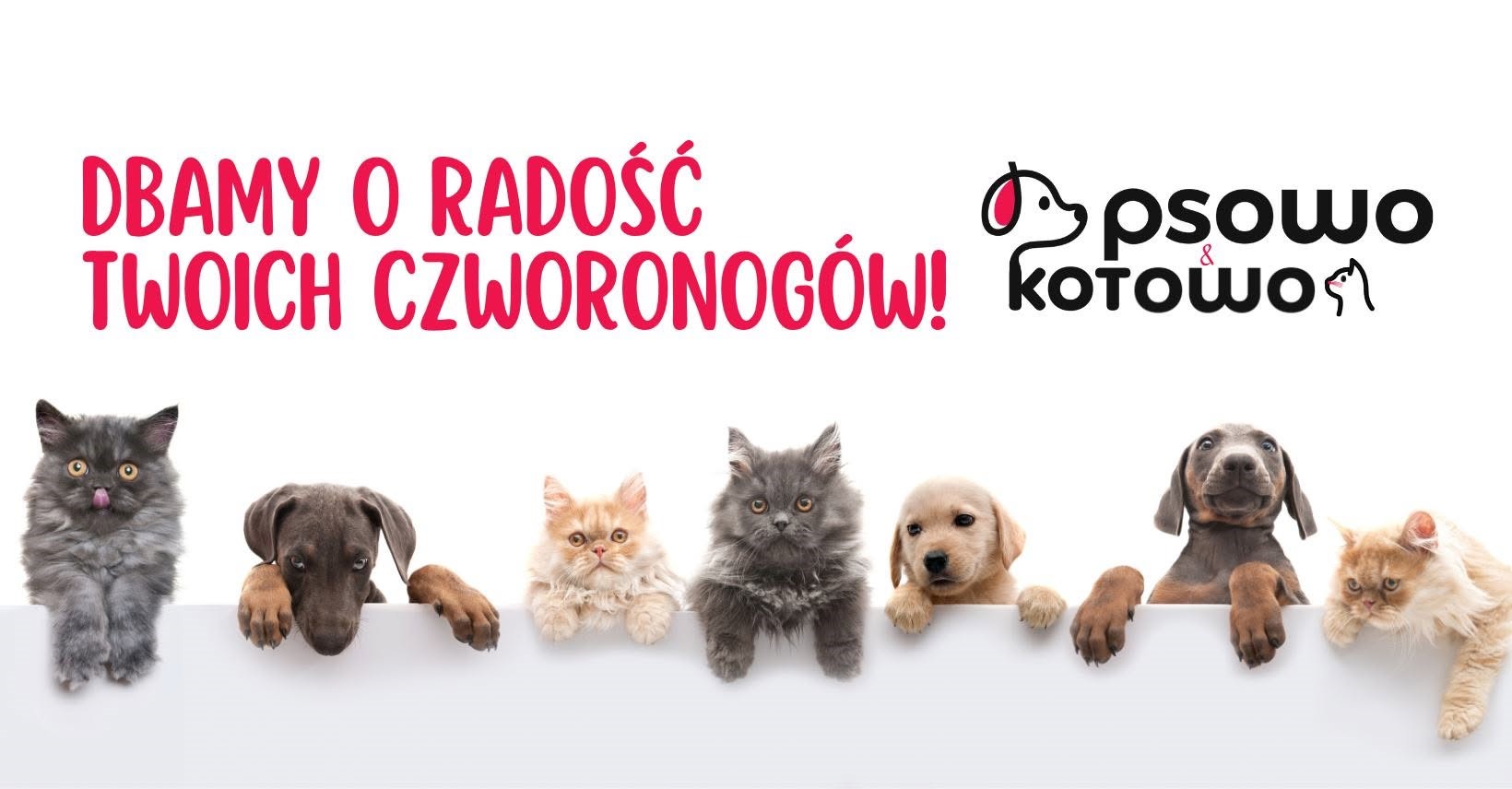 Psowo sprawia, że codzienna opieka nad psem i kotem staje się prostsza i przyjemniejsza